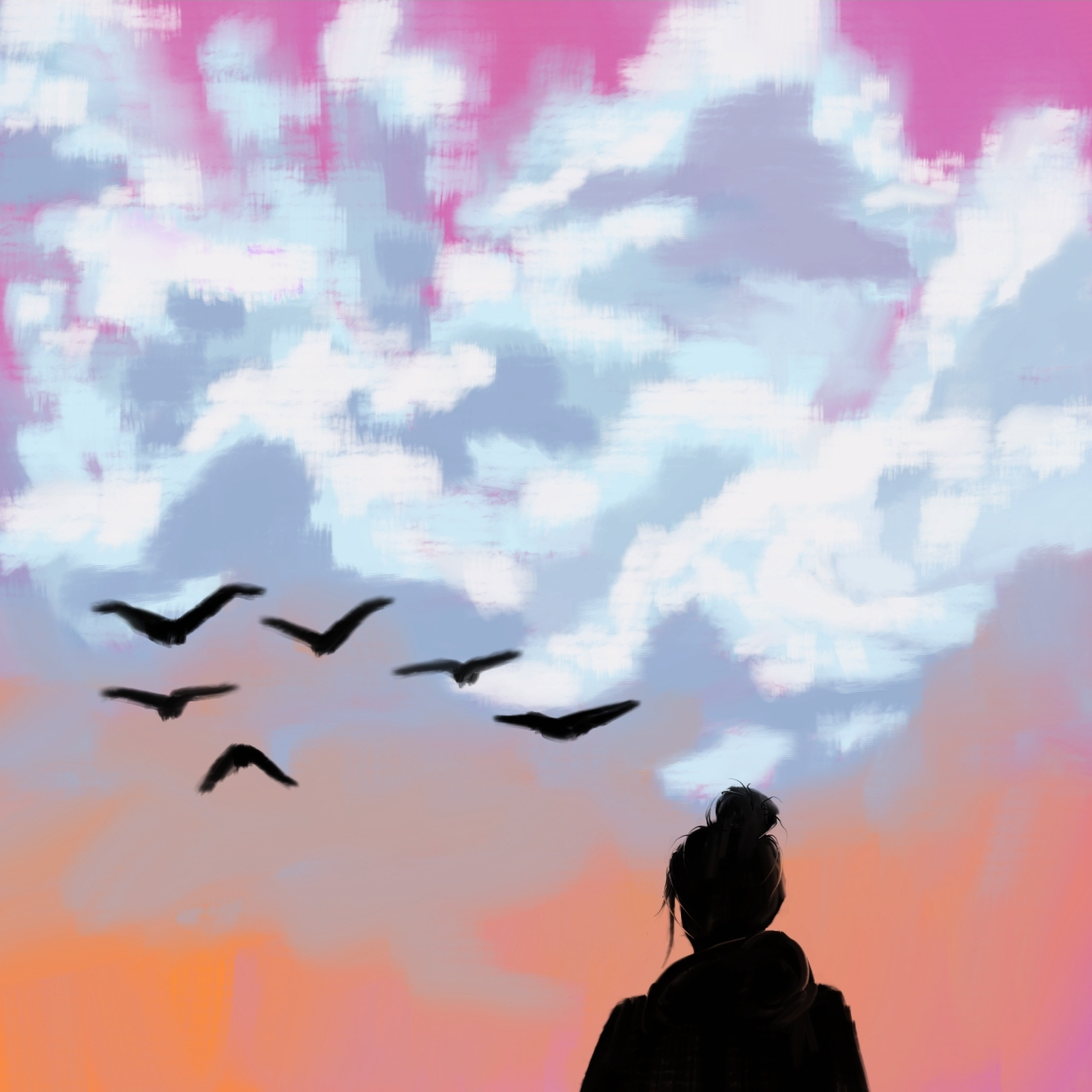 about the birds